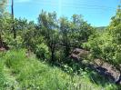 դաքլու)