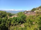 դաքլու)