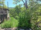 դաքլու)