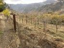 ՎԱՃԱՌՎՈՒՄ Է ՀՈՂԱՏԱՐԱԾՔ Մեղրի համայնքի Լեհվազ բնակավայրում