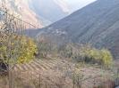թաղ գյուղում