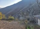թաղ գյուղում
