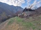 թաղ գյուղում