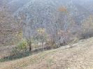 թաղ գյուղում