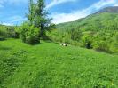 Վաճառվում է հողատարածք Վանեք համայնքում